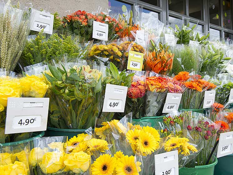 LE JARDIN DES FLEURS