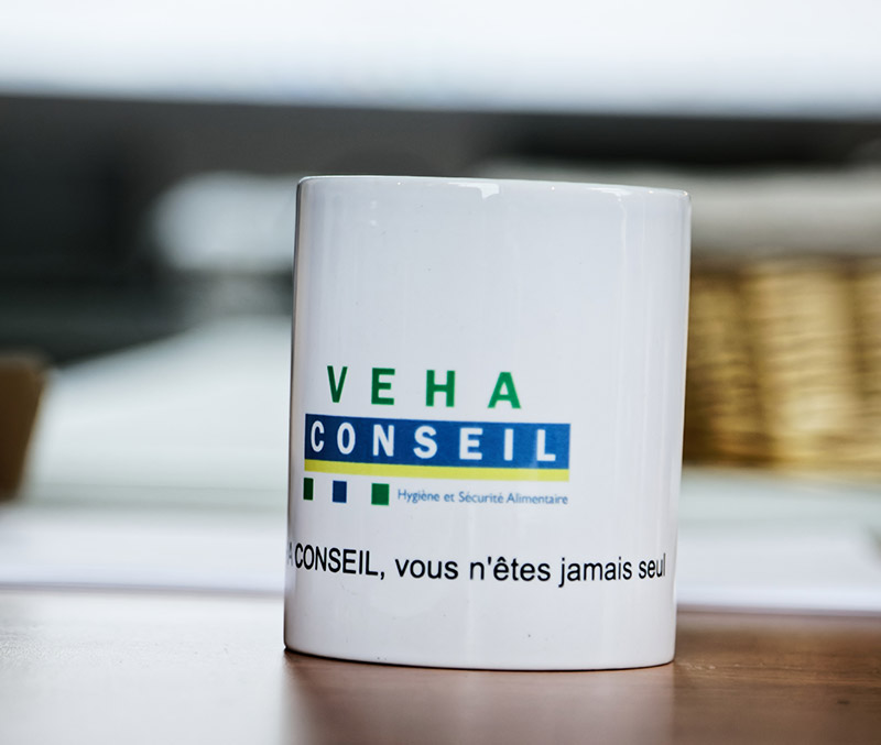 VEHA CONSEIL