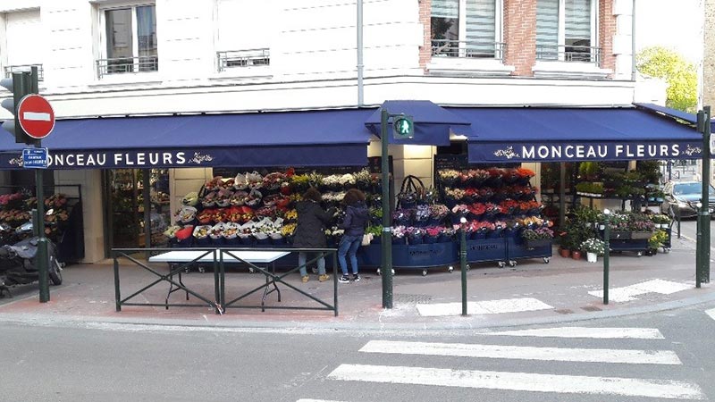 MONCEAU FLEURS 